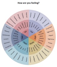 Feelings Wheel